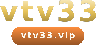 vtv33 logo